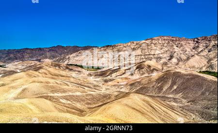 Die Affe-Geoglyphe bei Palpa in Peru Stockfoto