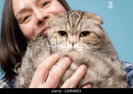 Unzufrieden Scottish Fold Katze in den Armen seines glücklichen lächelnden Besitzers. Blauer Hintergrund. Nahaufnahme. Stockfoto