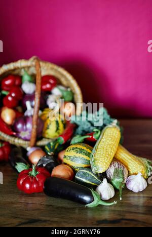 Erntedankfest oder Erntekonzept. Biologisch angebautes Gemüse im Weidenkorb. Saisonale Produkte: Mais, Kürbis, Tomaten, Zucchini und andere. Hochwertige Fotos Stockfoto
