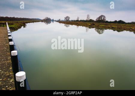 Great Ouse River in der Nähe von Schleuse bei Brownshill Lock und staunch, in der flachen Fenland in der Nähe von Over, Cambridgeshire, Großbritannien Stockfoto