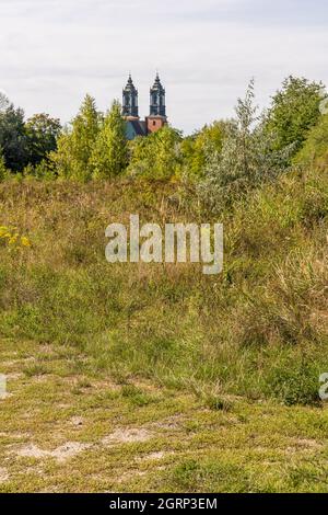 POZNAN, POLEN - 05. Sep 2021: Ein Blickwinkel auf die Kathedrale von Piotr i Pawel in der Ferne durch die wachsende Vegetation gesehen Stockfoto