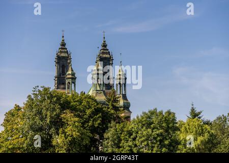 POZNAN, POLEN - 05. Sep 2021: Ein Blickwinkel auf die Kathedrale von Piotr i Pawel in der Ferne durch die wachsende Vegetation gesehen Stockfoto