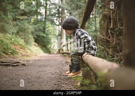 Kleines Kind im karierten Hemd und grauem Hut im Wald. Kindheit mit naturliebenden Konzept Stockfoto