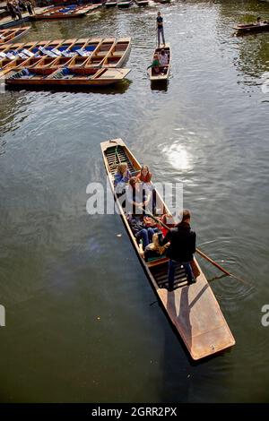 Stecheln auf dem River Cam. Cambridge, England, Großbritannien. Stockfoto