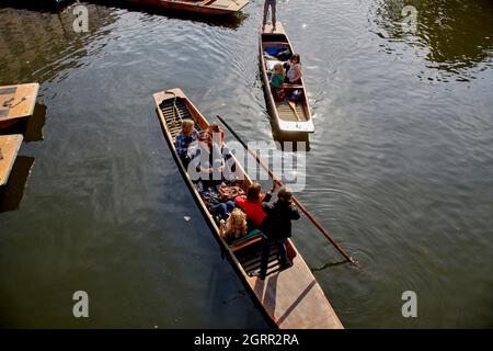 Stecheln auf dem River Cam. Cambridge, England, Großbritannien. Stockfoto