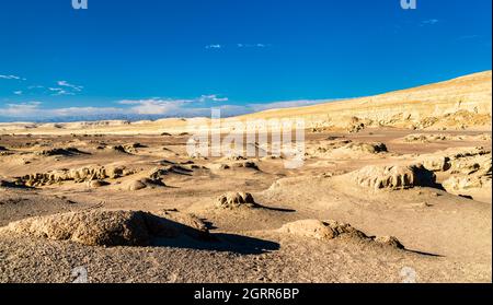 Walfossilien in der Wüste Ocucaje, Peru Stockfoto