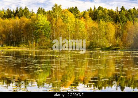 Herbstfarben spiegeln sich in ruhigem Seewasser in der Nähe von göteborg Schweden. Stockfoto