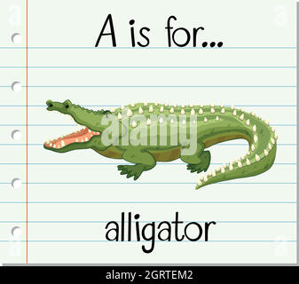 Der Buchstabe A der Flashcard ist für Alligator Stock Vektor