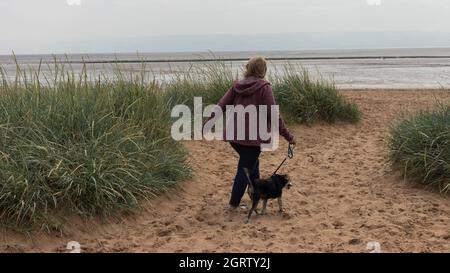 Hündin, die am Strand mit einem Hund unterwegs ist Stockfoto