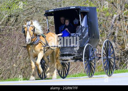 FAMILIE AMISH PFERD UND KUTSCHE IN ASHTABULA COUNTY, OHIO, USA Stockfoto