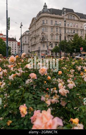 28 Mai 2019 Wien, Österreich - das Café Prückel, ein klassisches Wiener Kaffeehaus, das Sie in die frühen 1900er Jahre zurückversetzt Stockfoto