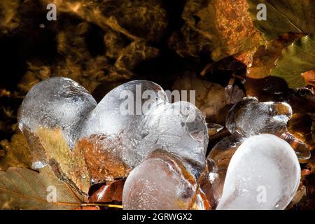 Eiszapfen über Fluss und Herbstblätter Stockfoto