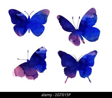 Aquarell-Illustrationen von schönen fliederfarbenen Silhouetten von Schmetterlingen. Insektenfallen. Aquarell-Blots, Schmetterlinge. Isoliert auf Weiß. Von Hand gezeichnet Stockfoto