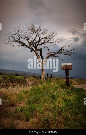 Ein unheimlicher Baum und ein alter Briefkasten stehen auf einer Landstraße, während sich ein Sturm nähert Stockfoto