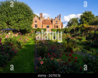 Chenies Herrenhaus im Herbst vom versunkenen Garten aus gesehen mit vielen Dahlien, die noch in Blüte stehen. Farbenfrohe Pflanzenränder, beschnittene Eibenbäume und Spaliere. Stockfoto