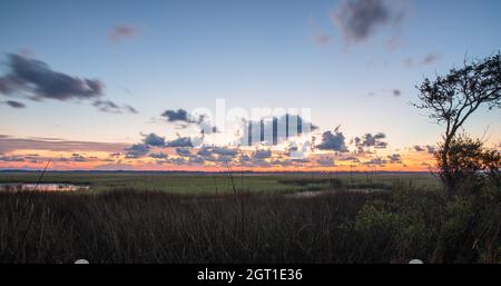 Sonnenaufgang über dem Salzwassermarsch entlang des Tolomato River in St. Augustine, Florida. Stockfoto