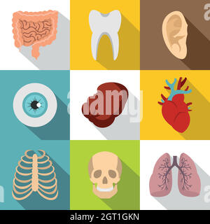 Inneren Organe Icons Set, flachen Stil Stock Vektor