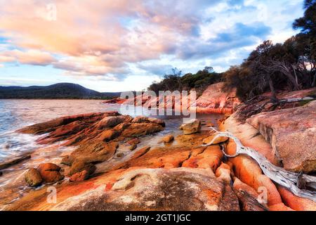 Farbenfrohe Granitfelsen, die von Flechten bedeckt sind, befinden sich in der Honeymoon Bay im Freycinet Nationalpark und auf der Halbinsel Tasmaniens. Stockfoto