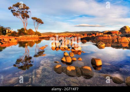 Bay of Fires malerische Küste in Binalong Bay in Tasmanien, Australien - von aufgehender Sonne beleuchtete Gummibäume spiegeln sich in Ebbe-Pfütze wider. Stockfoto