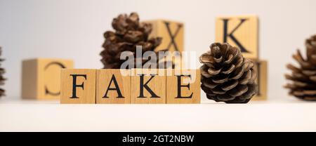 Hergestellt aus gefälschten Holzwürfeln. Kieferkegel-Konzept. Konzept. Weißer Hintergrund und Nahaufnahme. Stockfoto