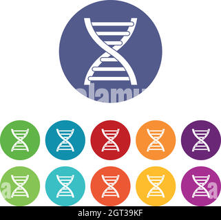 DNA-Set-Symbole Stock Vektor