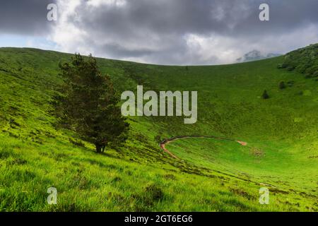 Puy Pariou, einem alten Vulkan in der Auvergne, Frankreich Stockfoto