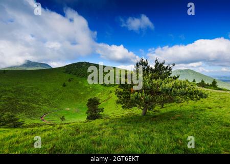 Puy Pariou, einem alten Vulkan in der Auvergne, Frankreich Stockfoto