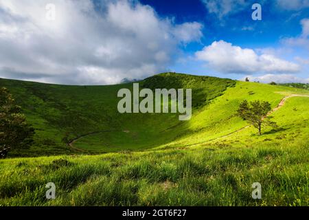 Puy Pariou, einem alten Vulkan in der Auvergne, Frankreich Stockfoto