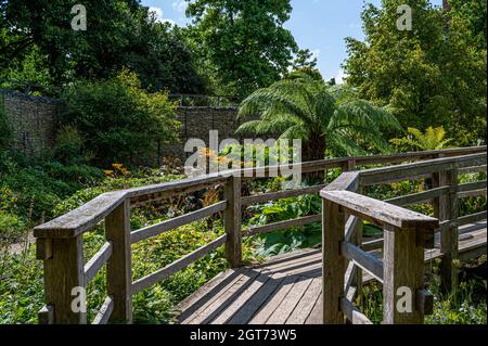 Holzbrücke über den Robinson Garden ay Hyde Hall. Stockfoto