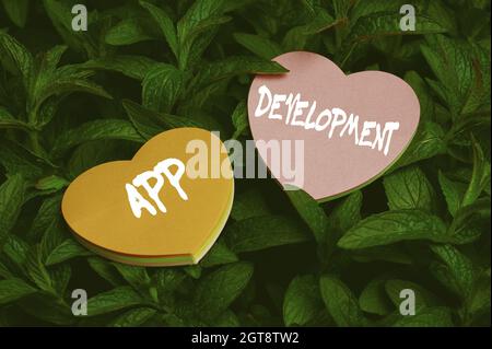 Textunterschrift zur App-Entwicklung. Business Overview Entwicklungsdienstleistungen für tolle mobile und Web-Erfahrungen Heart Shaped Paper on Top of Stockfoto