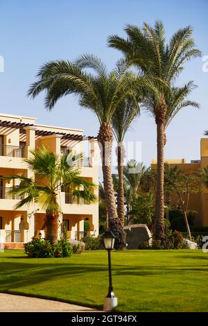 Ferienresort. Luxuriöses ägyptisches Hotel mit Palmen, perfektem grünen Rasen und klarem blauen Himmel. Stockfoto