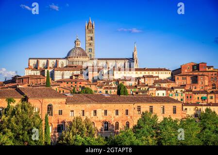 Siena, Italien. Sommerlandschaft von Siena, eine schöne mittelalterliche Stadt in der Toskana, mit Blick auf den Sonnenuntergang der Kathedrale. Stockfoto