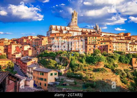 Siena, Italien. Sommerlandschaft von Siena, eine schöne mittelalterliche Stadt in der Toskana, mit Blick auf den Dom von Siena. Stockfoto