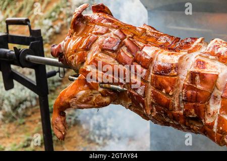 Barbecue mit jungen Schwein auf einem Grill mit Holzkohle. Der ganze geröstete Ferkelkörper wird auf den Grill gesetzt. Großer Grill in den Prozess des Kochens Fleisch. Stockfoto