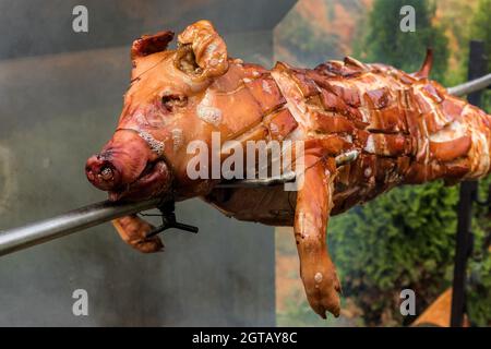 Barbecue mit jungen Schwein auf einem Grill mit Holzkohle. Der ganze geröstete Ferkelkörper wird auf den Grill gesetzt. Großer Grill in den Prozess des Kochens Fleisch. Stockfoto
