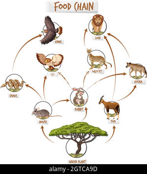 Konzept der Lebensmittelkette Stock Vektor