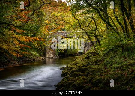 River Dart auf Dartmoor im Herbst. Stockfoto