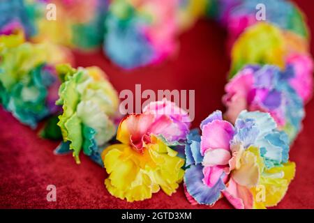 Wunderschöne bunte Frühlingslieder in Regenbogenfarben auf einem roten Tischhintergrund. LGBTQ- oder Botanik-Konzept. Hochwertige Fotos Stockfoto