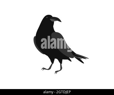 Schwarzer Rabe. Der brütende Vogel sitzt auf der Oberfläche mit dem Kopf gedreht Stock Vektor