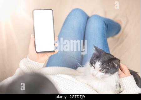 Frau mit Smartphone leerem Bildschirm rahmenloses modernes Design, während sie auf dem Sofa in der häuslichen Einrichtung liegt. Katze entspannt sich dahinter. Gemütliche Atmosphäre. Mocku Stockfoto