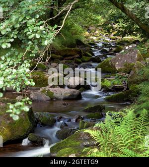 Bild von entlang des Flusses Caerfanell in der Region Blaen y Glyn der Brecon Beacons. Stockfoto