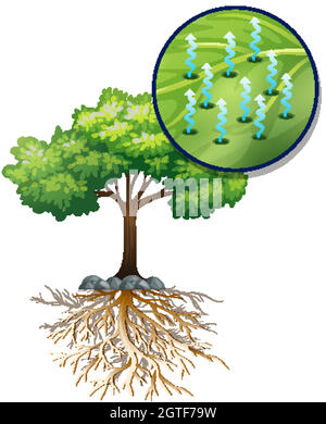 Großer grüner Baum und nahe Pflanzenzellen Stock Vektor