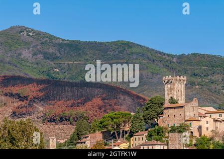 Ein Teil der Wälder des Monte Pisano, der durch einen künstlichen Brand in Vicopisano, Italien, schwer beschädigt wurde Stockfoto