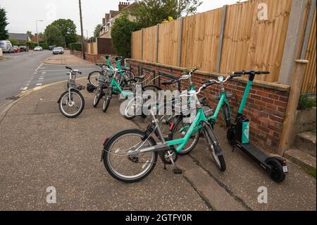 Beryl-Elektrofahrräder und -Roller parkten in einer Bucht in norwich, einige fielen über einen blockierenden Teil des Straßenbelags Stockfoto