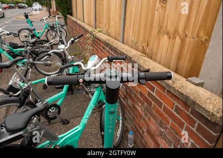 Beryl-Elektrofahrräder und -Roller parkten in einer Bucht in norwich, einige fielen über einen blockierenden Teil des Straßenbelags Stockfoto