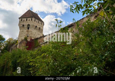 19. September 2021, Sighisoara, Rumänien: Bilder mit der einzigen bewohnten mittelalterlichen Zitadelle Europas, Sighisoara, die zum UNESCO-Weltkulturerbe gehört Stockfoto