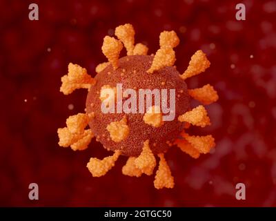 SARS-CoV-2 COVID-19 Coronavirus-Partikel, innerhalb der Atemwege. 3D-Illustration. Stockfoto
