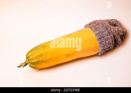 Gelbe reife Zucchini in einem gestrickten Hut auf rosa Hintergrund. Herbstkonzept des Eintretens von kaltem Wetter. Nahaufnahme. Stockfoto