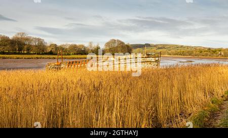 Ein altes Schiff hat im Winter auf dem River Dee in Kirkcudbright ein Holzboot unter langgestrecktem Salzsumpfgras in der Mündung zerstört Stockfoto