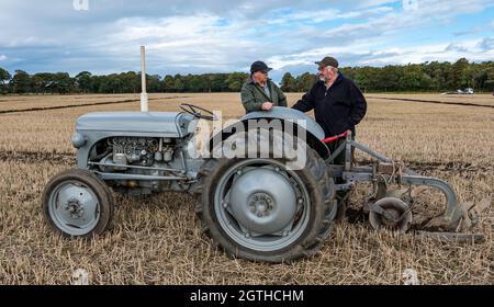 Luffness Mains Farm, East Lothian, Schottland, Großbritannien, 2. Oktober 2021. Charity Pflügen Match: Bauern kämpfen bei der Veranstaltung um Geld für die schottischen Pflügen-Meisterschaften, die von der Pandemie schwer getroffen wurden. Zu den Traktoren gehören hydraulische, nicht hydraulische klassische reversible, klassische und Vintage-Gartenbauarten. Die Jury vergibt Punkte für Geradheit, Öffnungen und Ausgänge sowie eine Vielzahl anderer Merkmale der gepflügten Linien. Im Bild: Zwei Männer mit einem alten hydraulischen Traktor Stockfoto